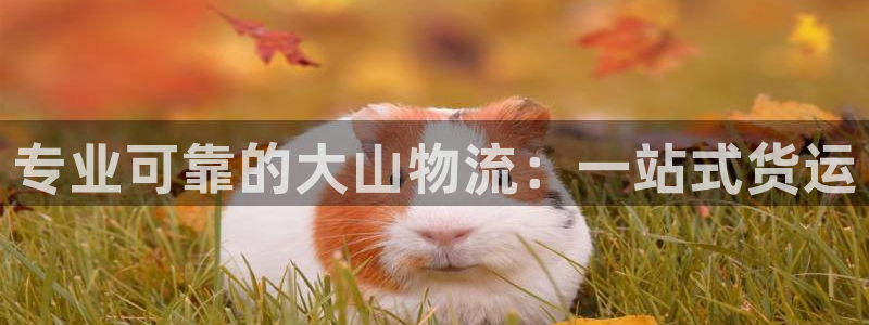 28圈麻将：专业可靠的大山物流：一站