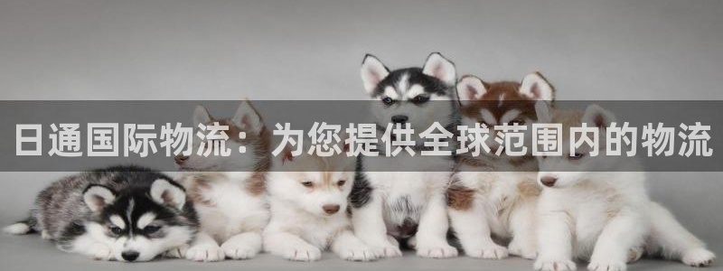 28圈PG电子游戏：日通国际物流：为