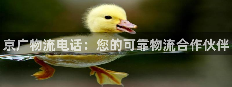 28圈加拿大6.0：京广物流电话：您