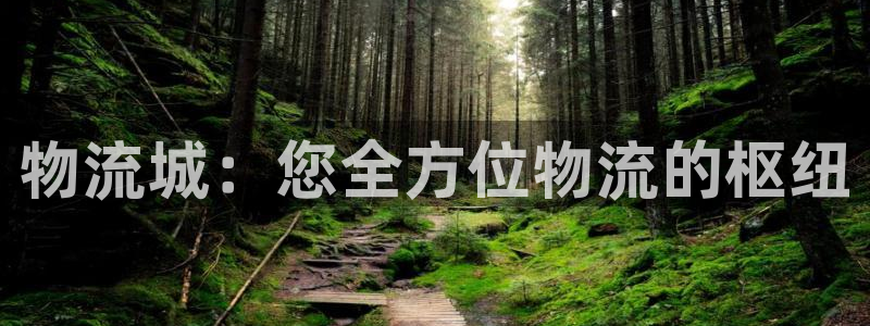 28圈初始资金密码是什么：物流城：您