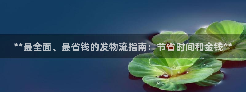 28圈加拿大app预测