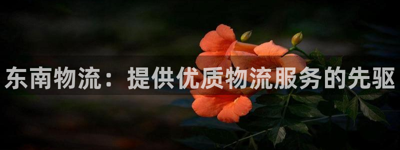 28圈网站平台是多少