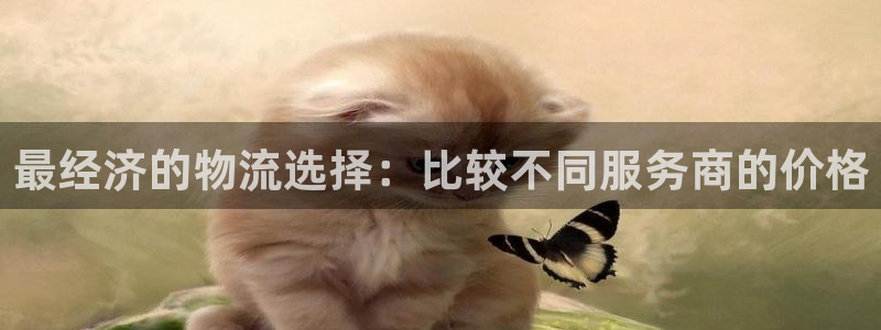 28圈链接多少