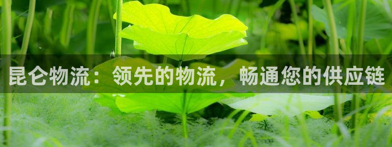 28圈加拿大怎么玩：昆仑物流：领先的