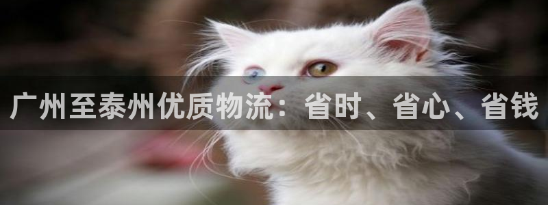 28圈登录：广州至泰州优质物流：省时