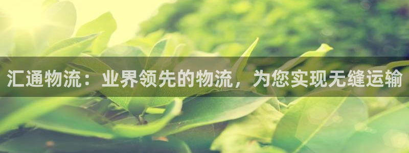28圈如何注销账号：汇通物流：业界领