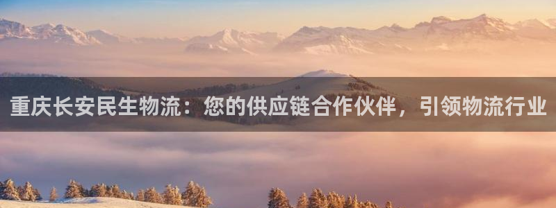 28圈注册条件：重庆长安民生物流：您