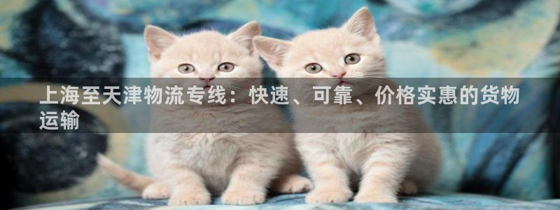 28圈模拟器在线玩：上海至天津物流专