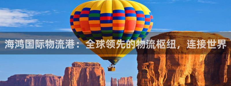 28圈推广链接是多少粉丝：海鸿国际物