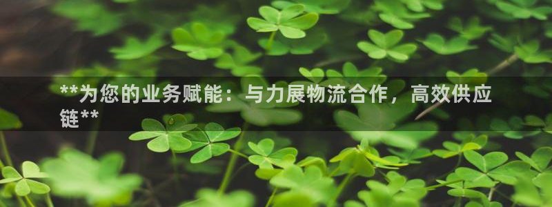 28圈充值：**为您的业务赋能：与力