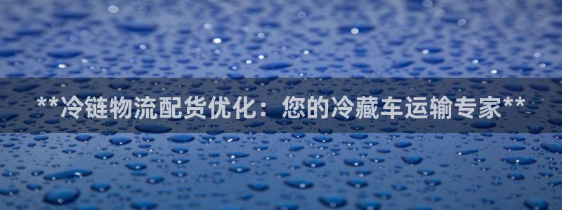28圈加拿大28：**冷链物流配货优