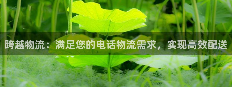 28圈游戏官网版
