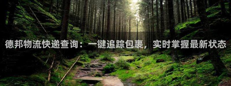 28圈反水怎么算：德邦物流快递查询：
