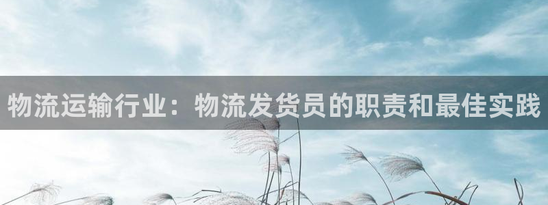 28圈加拿大2.8预测在线预测：物流