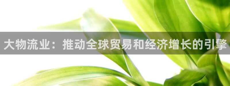28圈女王中奖记录查询