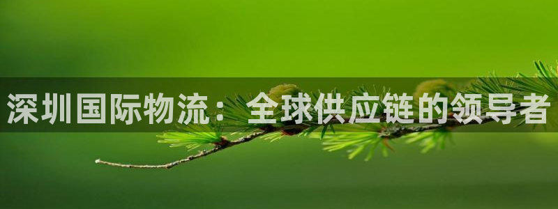 28圈注册网站谁有：深圳国际物流：全