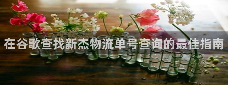 28圈注册步骤：在谷歌查找新杰物流单