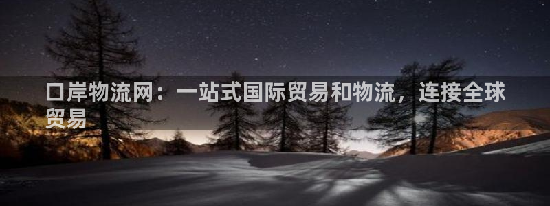 28圈头像：口岸物流网：一站式国际贸