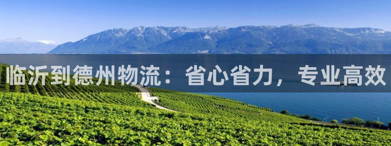 28圈娱乐官网网页下载