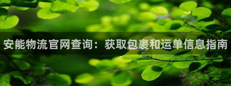 28圈官网版2024：安能物流官网查