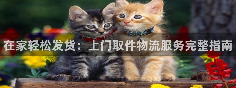 28圈自行车图片大全