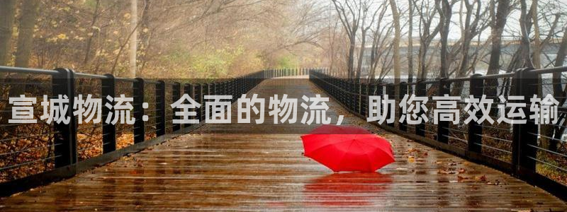 28圈大神预测：宣城物流：全面的物流