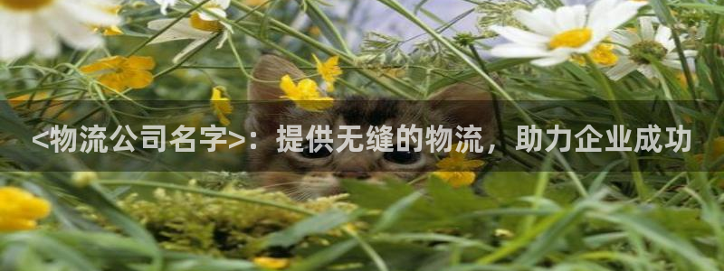 28圈如何看012路计划：<物流公司