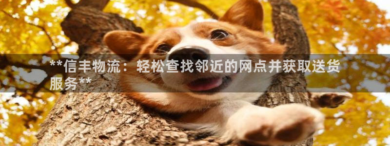 28圈相信品牌的力量