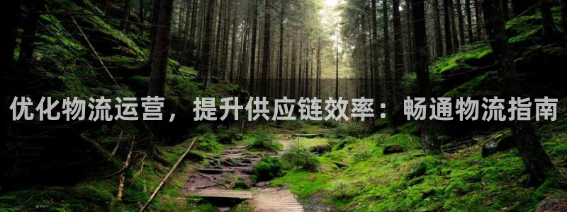 28圈农业银行是狗卡吗：优化物流运营