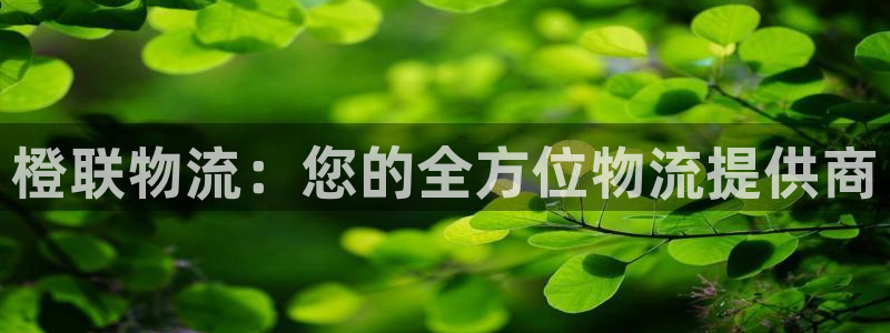 28圈初始资金密码在哪里改