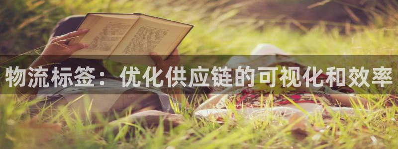 28圈在线预测