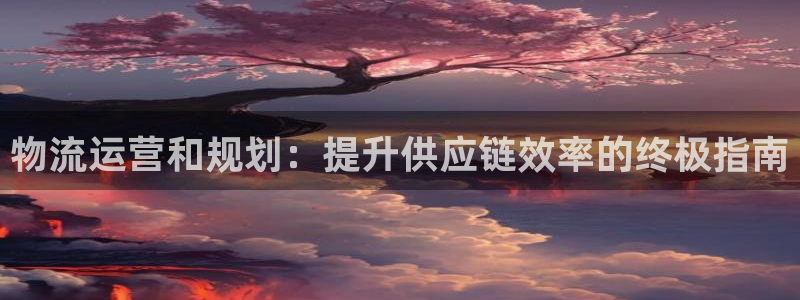 pc28圈怎么注册：物流运营和规划：