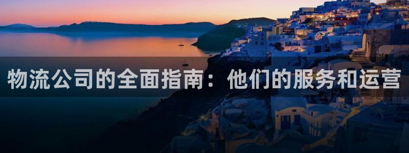 28圈官网链接：物流公司的全面指南：