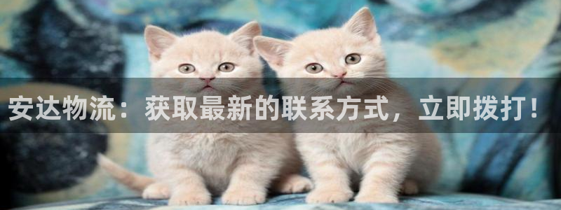 28圈和南宫28什么关系：安达物流：