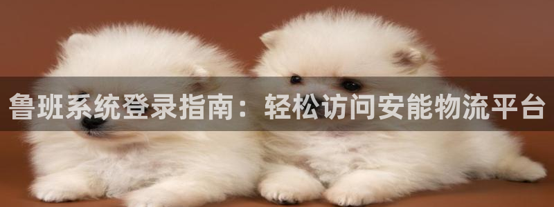 28圈流水怎么算：鲁班系统登录指南：