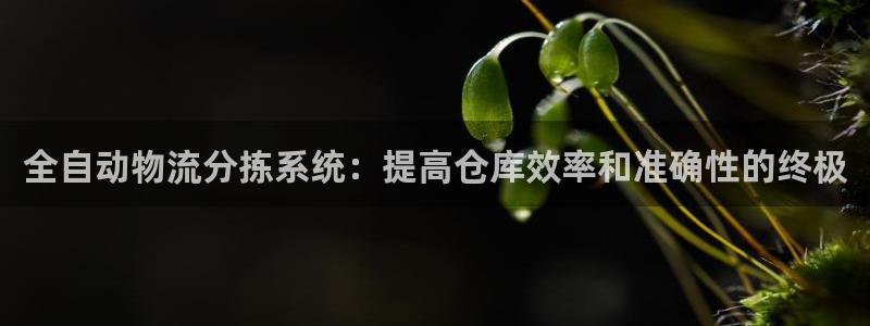 28圈官方网站是多少