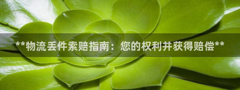 28圈加拿大模拟器