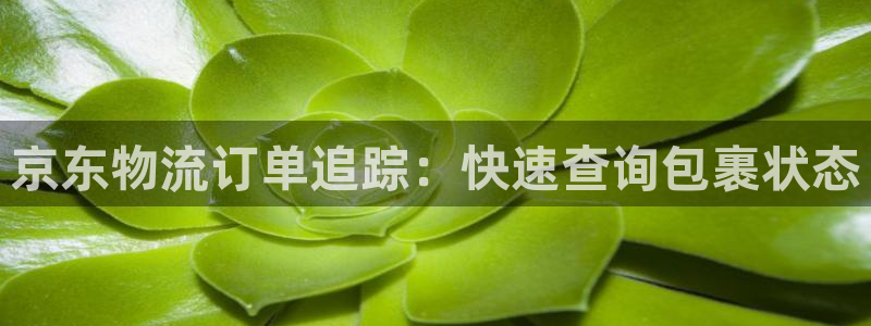 28圈官网下载链接是什么网站：京东物
