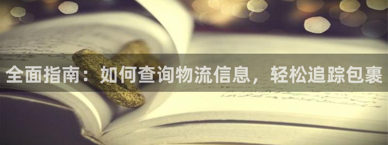 28圈黑款：全面指南：如何查询物流信