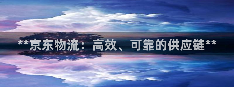 28圈登录不上咋回事：**京东物流：