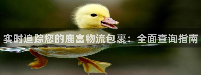 28圈官网下载链接是什么网站