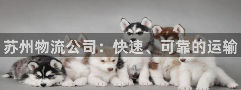 28圈app能退款吗