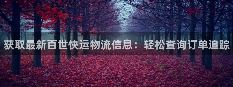 28圈加拿大2.8预测在线预测