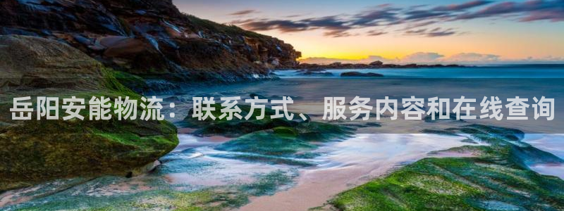 28圈链接