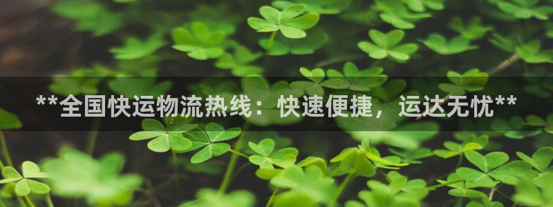 28圈官网开奖结果预测