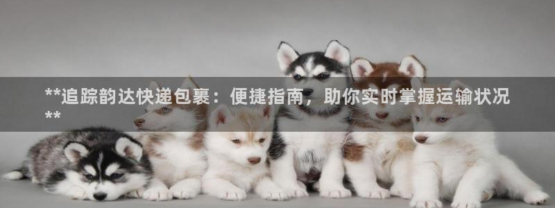 28圈加拿大app预测