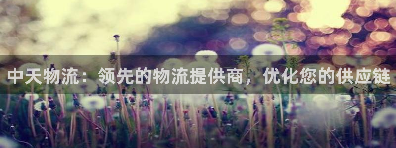 28圈模拟器下载：中天物流：领先的物