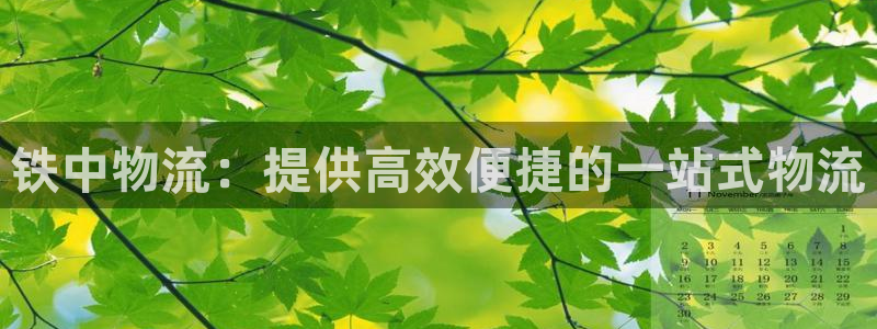 28圈赌博软件正规吗：铁中物流：提供