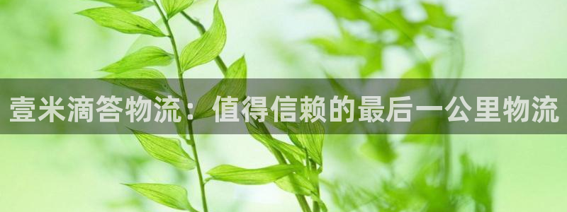 28圈官网平台下载