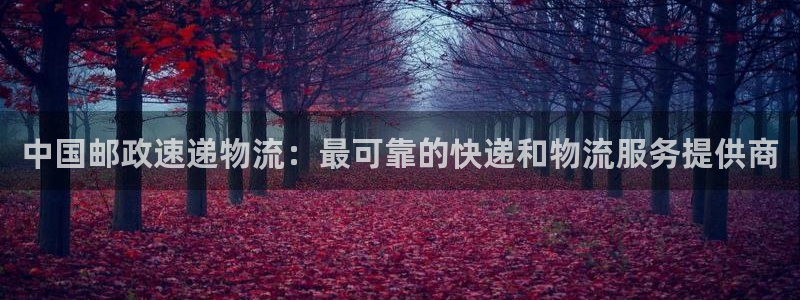 28圈相信品牌的力量